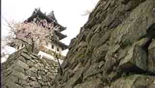 洲本城跡
