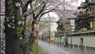 木屋町通