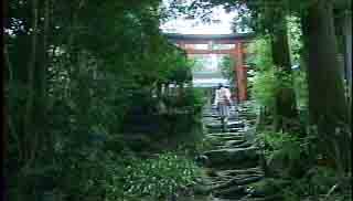 龍蔵神社