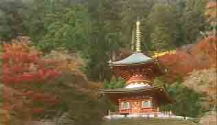 多宝塔