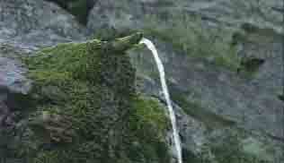 清浄水