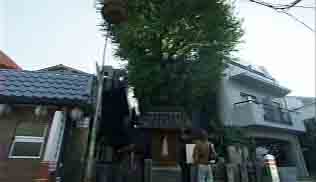 芥川一里塚