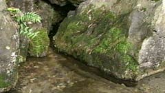 西行水