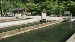 醒井養鱒場