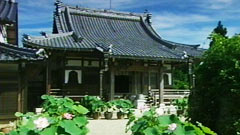 地蔵院青蓮