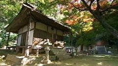 大日道