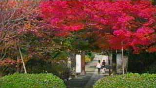 総門