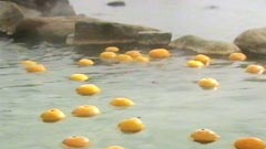 浜千鳥の湯（海舟）