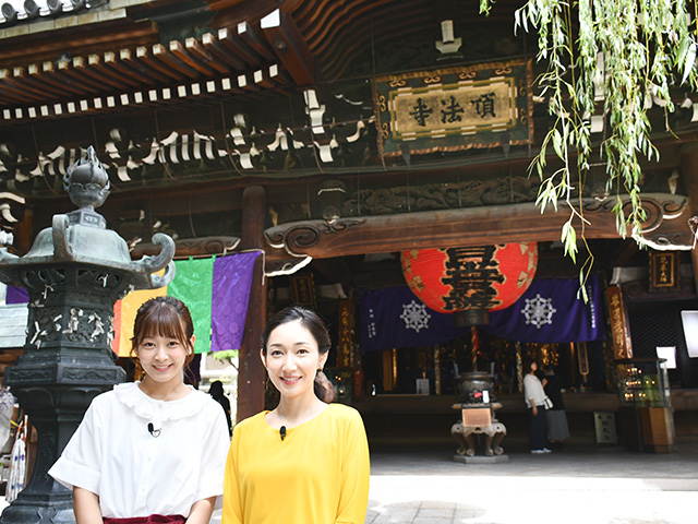 w256◇西国順礼(仮題)◇大坂 阿波屋平八 江戸期 西国三十三