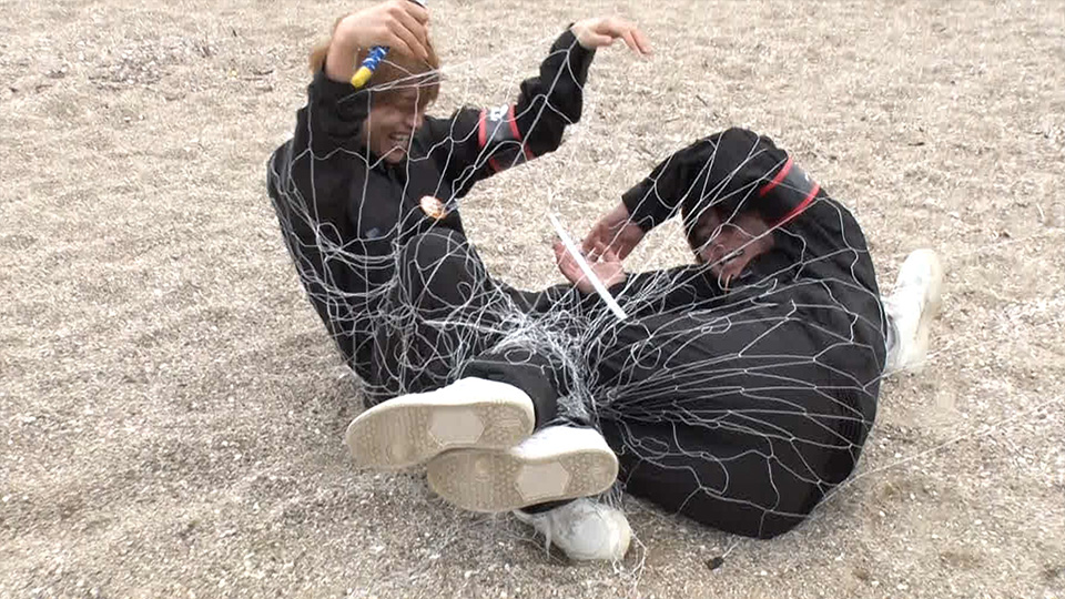 260523