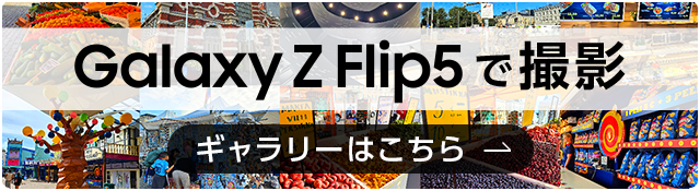 Galaxy Z Flip5 GALLERY