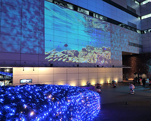 中之島ウエスト・冬ものがたり2025