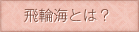 飛輪海とは？