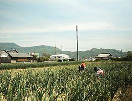 農場の写真