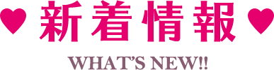 新着情報