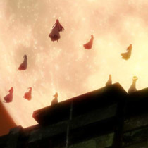 Image 029