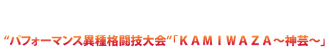 神芸　優勝者　テキスト