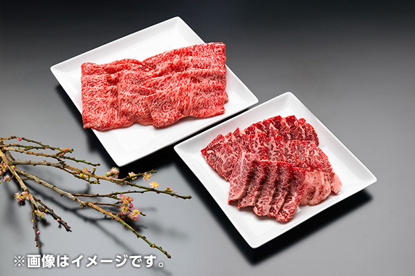 プレゼント