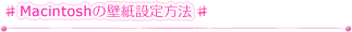 Macintosh̕ǎݒ@