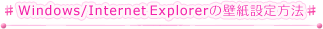 Windows/Internet Explorer̕ǎݒ@