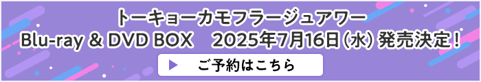 トーキョーカモフラージュアワー Blu-ray & DVD BOX 2025年7月16日（水）発売決定！