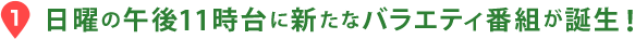日曜の午後11時台に新たなバラエティ番組が誕生！
