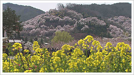 photo01