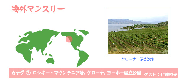 海外マンスリー
