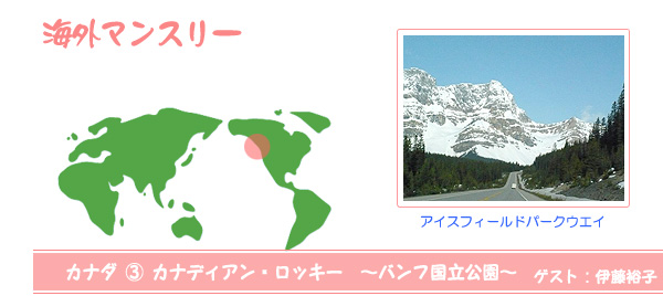 海外マンスリー