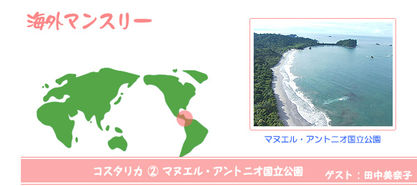 海外マンスリー