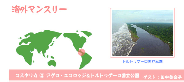 海外マンスリー