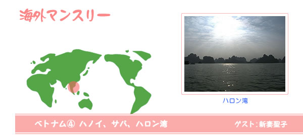海外マンスリー