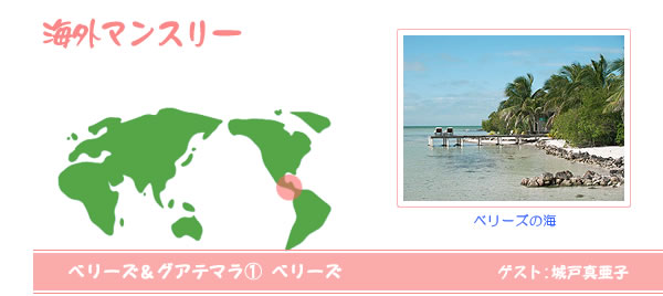 海外マンスリー