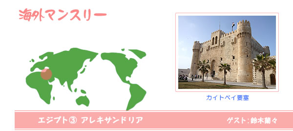 海外マンスリー