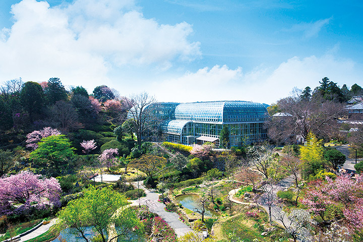 高知県立牧野植物園