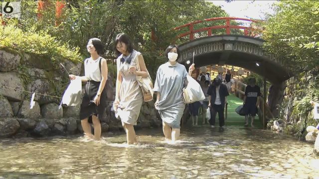 JS 池　盗撮 ひんやり冷たい池の水に素足で 無病息災祈る「みたらし祭」 京都・下鴨神社