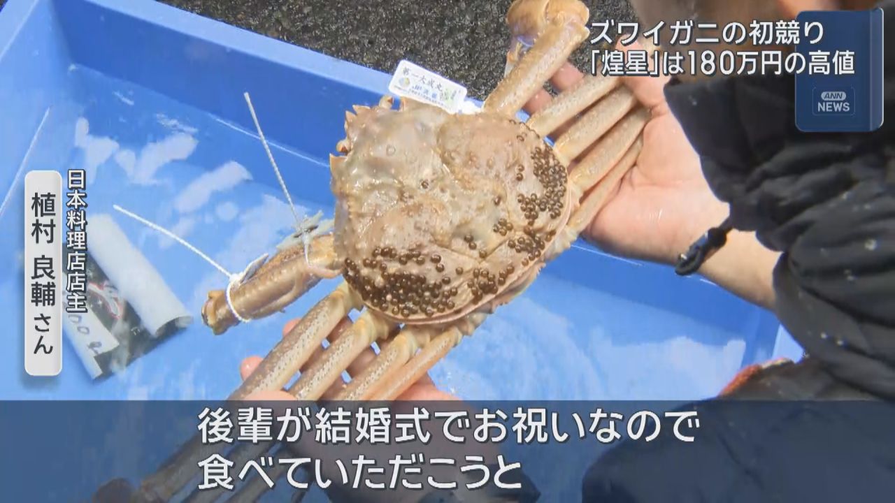 初競りのカニだけは譲りたくない」 1匹180万円の高値も ズワイガニ