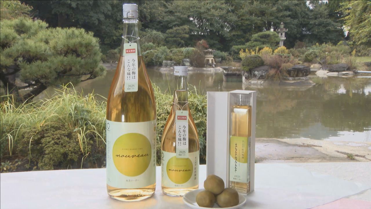 万博のレガシー「水素燃料電池船」が東京港で運航へ 開発した岩谷産業