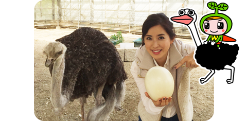 ワンダーアース4 生き物たちから学ぶこと｜朝日放送テレビ